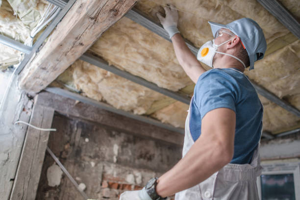 Best Home Insulation Services  in Westbury, NY